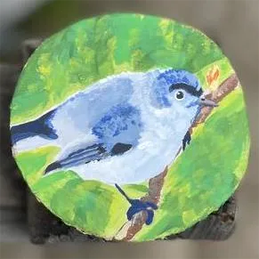 Dumb Bird